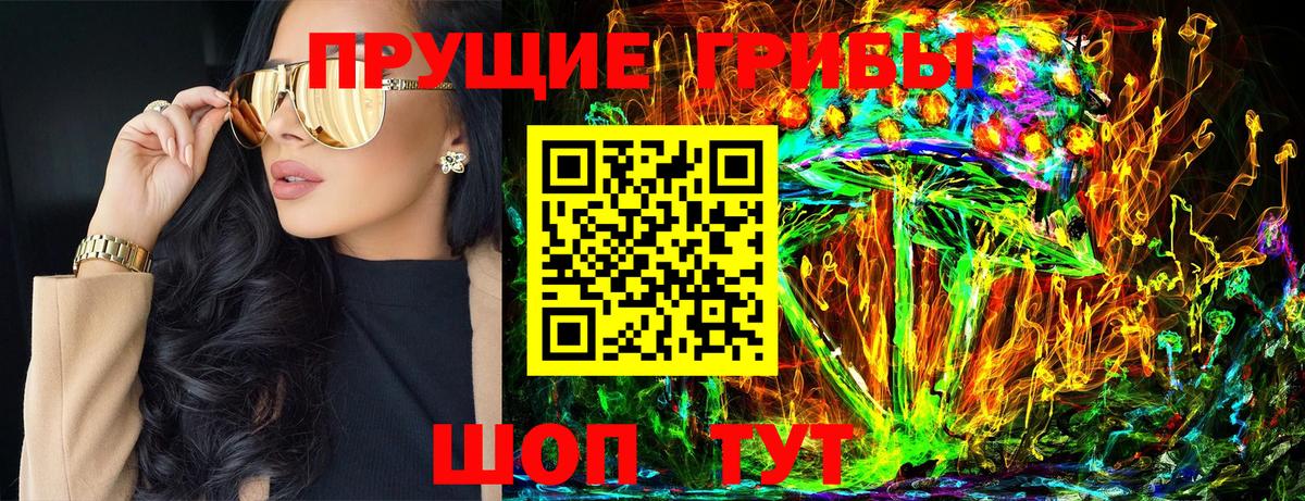 Нижний Тагил  Галлюциногенные грибы Psilocybe  Вход с VPN 