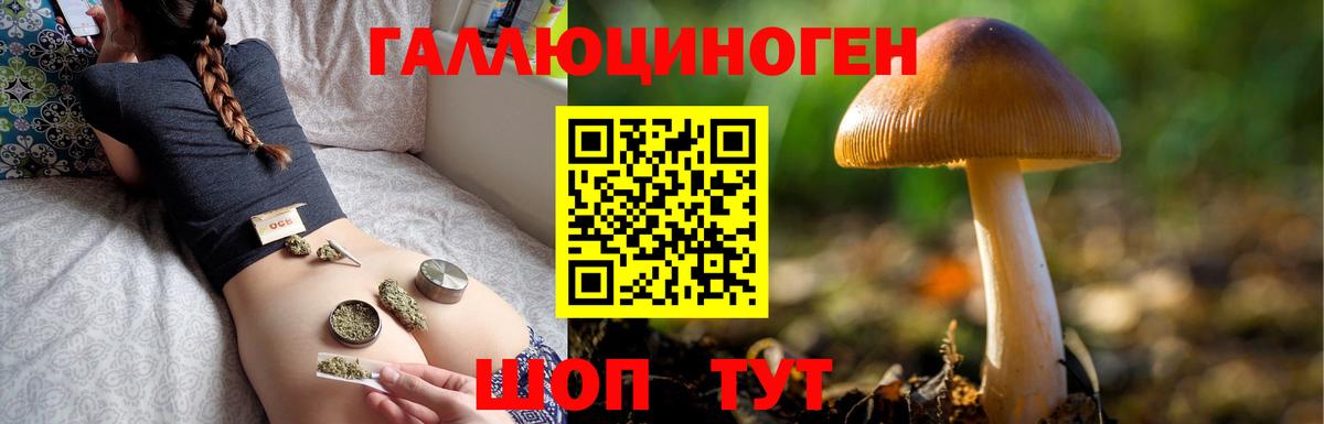 Галлюциногенные грибы Psilocybine cubensis Нижний Тагил